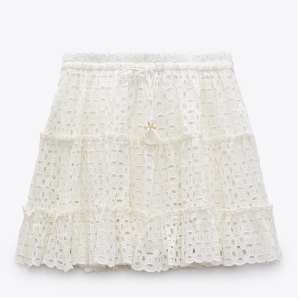 Zara Embroidered Eyelet Skirt